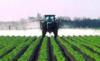 pesticide